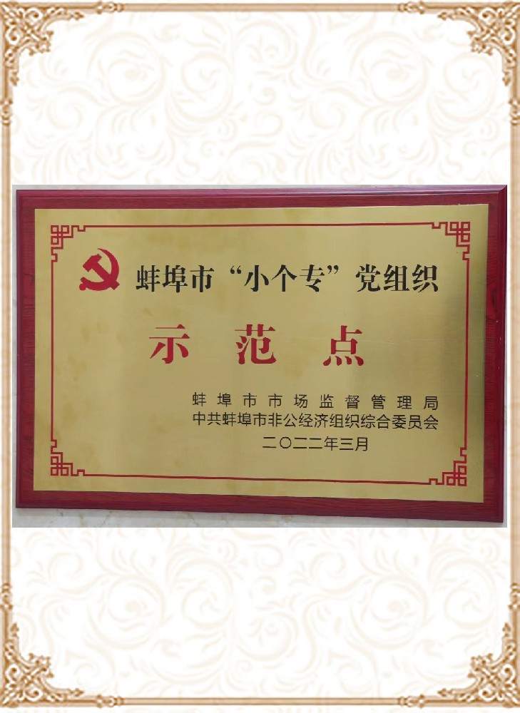 蚌埠市“小個(gè)?！秉h組織示范點(diǎn)