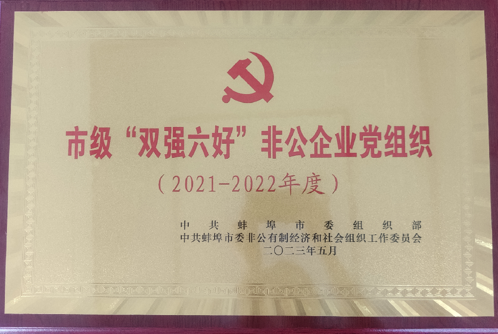 喜報(bào)！中共安徽盛世新能源材料科技有限公司支部委員會(huì)榮獲蚌埠市“雙強(qiáng)六好”非公企業(yè)黨組織榮譽(yù)稱號(hào)